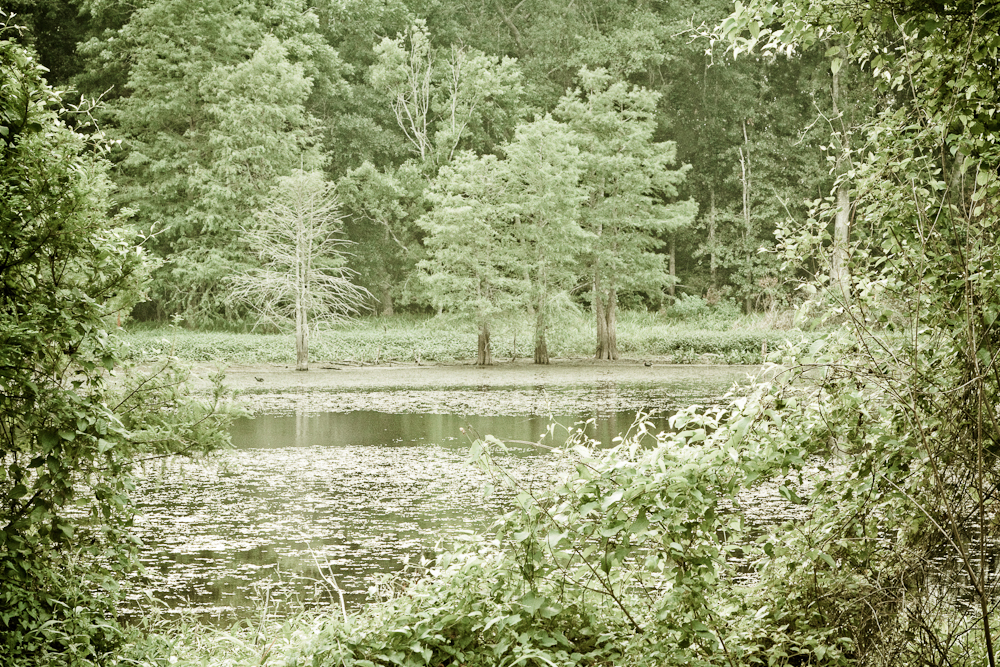 Brazos Bend